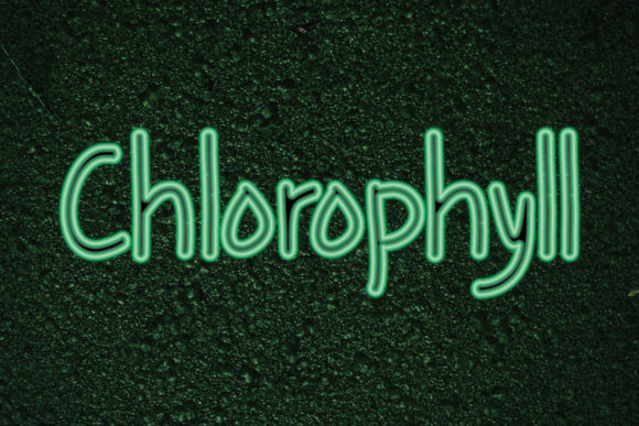 Chlorophyll: A Font for Creative Campaigns