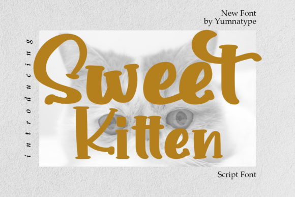 Sweet Kitten: A Stylish Font for Your Brand